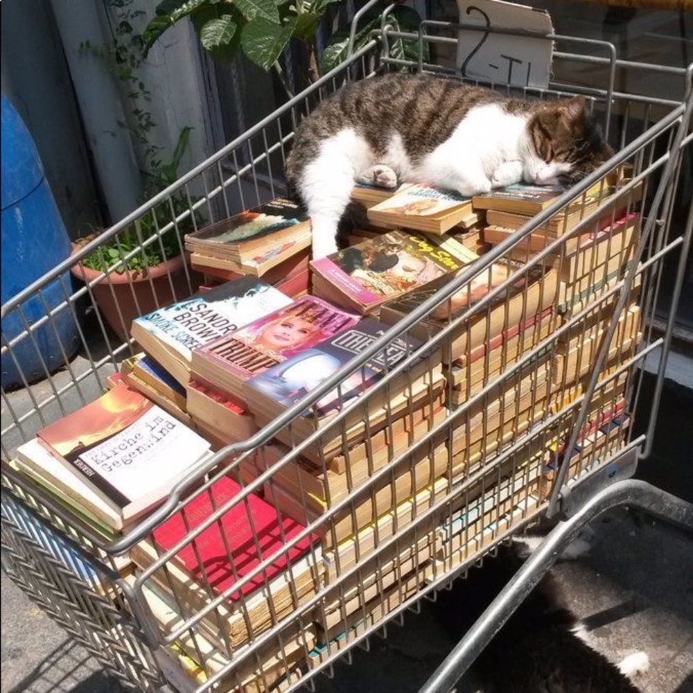 Meet your Posher, Claire